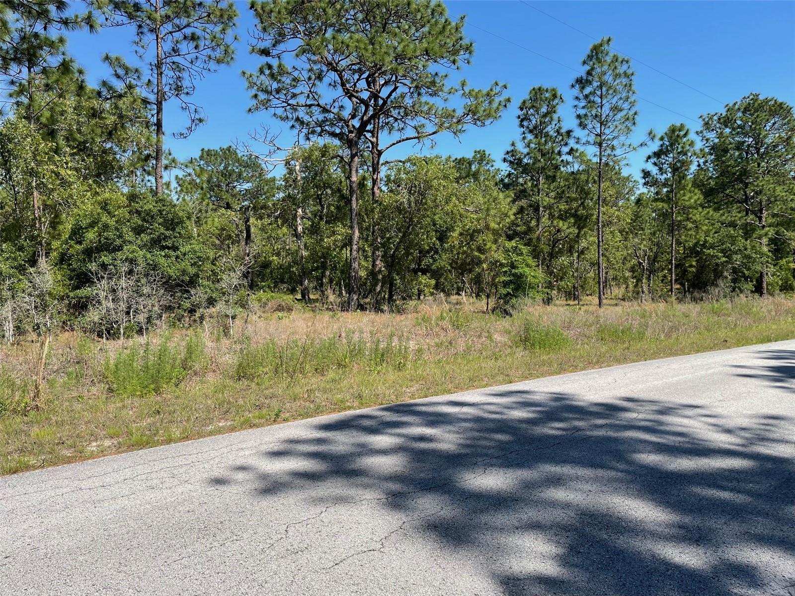 LOT 1 NW MANDRAKE DRIVE