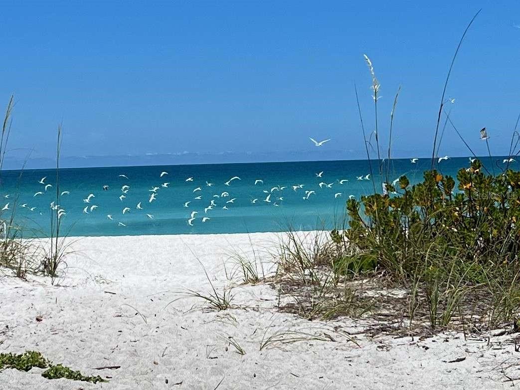 BAYPORT BCH & TEN PH F - Residential