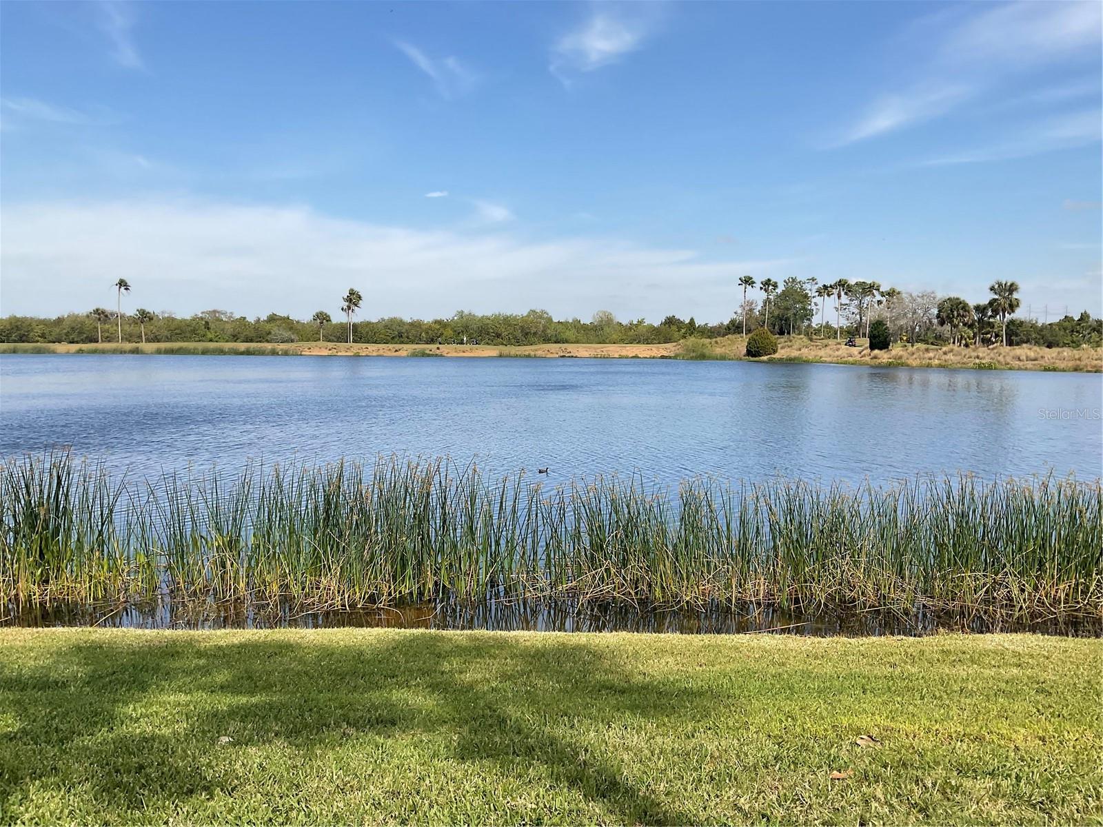 Turnkey Furnished Short Term Rental Available for June thru December 2025. This gorgeous 2 bedroom, 2 bath condo is located in the Gated Community of River Strand with its resort style amenities. This community has 2 Arthur Hills designed golf courses, 2 Community Pools, Tiki Bar, Full-Service Restaurant and Bar, 2 Fitness Centers, Tennis, Pickle Ball and Plenty of Social Activities. This unit features plenty of comfortable living space on the ground floor. The living room, kitchen/dining room and lanai overlook a peaceful lake. Rent includes Basic Cable TV, Electricity, Internet, Laundry, Pest Control, Pool, Recreational, and Water, Sewer and Trash. Only Minutes from Lakewood Ranch, Nathan Benderson Park with world class rowing events, premier sports fields and world class beaches. Convenient to Downtown Lakewood Ranch shopping, restaurants, entertainment, and UTC Mall. Easy access to I-75, Sarasota Airport, Tampa International Airport, and Tampa/St. Petersburg.