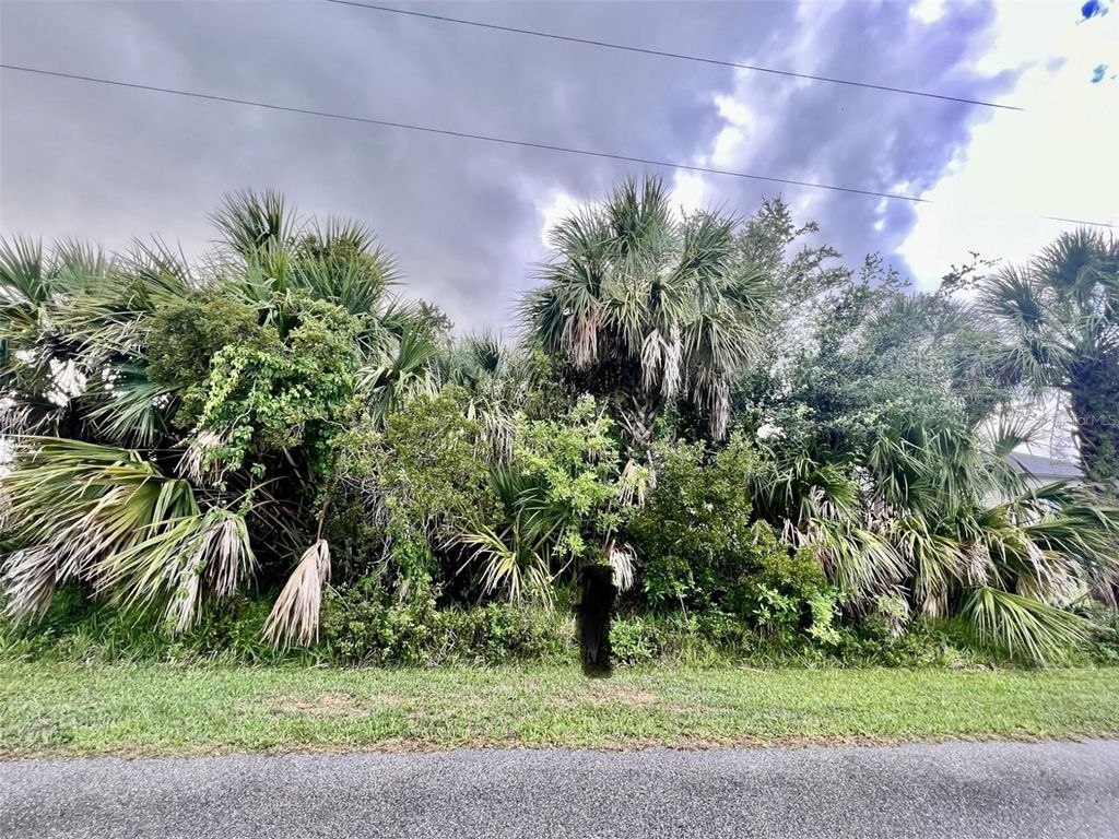 Photo of 12306 Defender Drive, Port Charlotte, FL 33953 (MLS # C7475230)