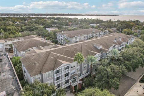 800 S DAKOTA AVENUE 310 TAMPA FL 33606