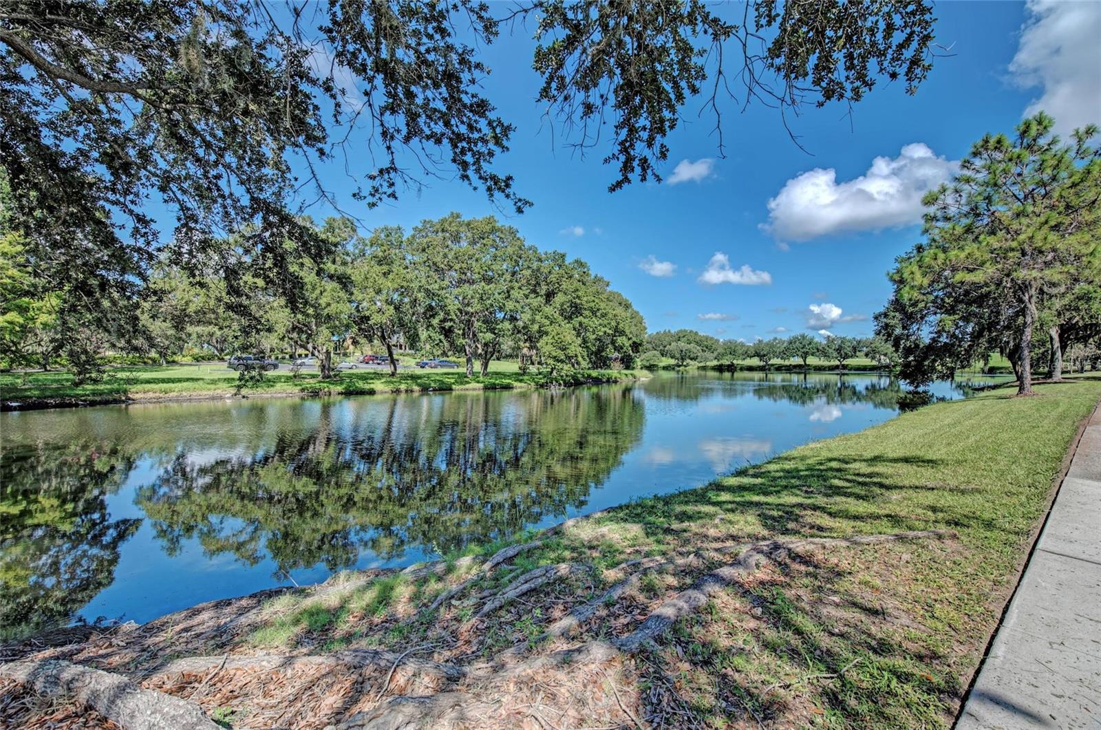 RIVER CLUB - Residential