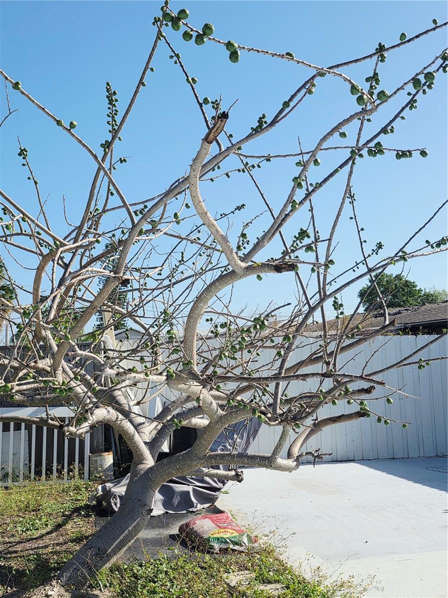 APOLLO BEACH UNIT ONE PT ONE - Residential