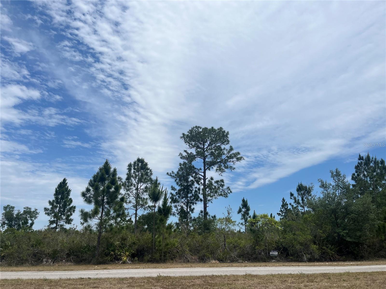 INDIAN LAKE ESTATES - Land