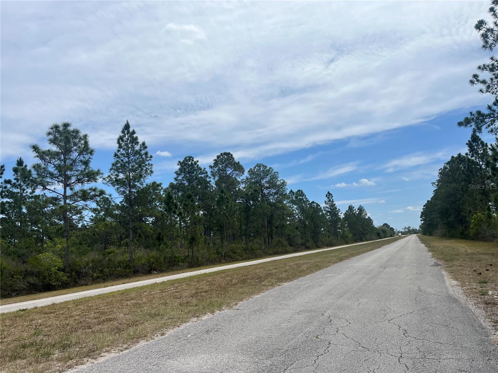 INDIAN LAKE ESTATES - Land