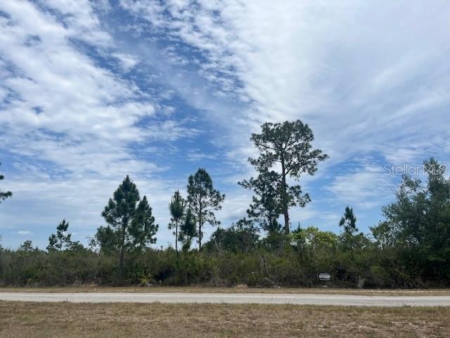 INDIAN LAKE ESTATES - Land