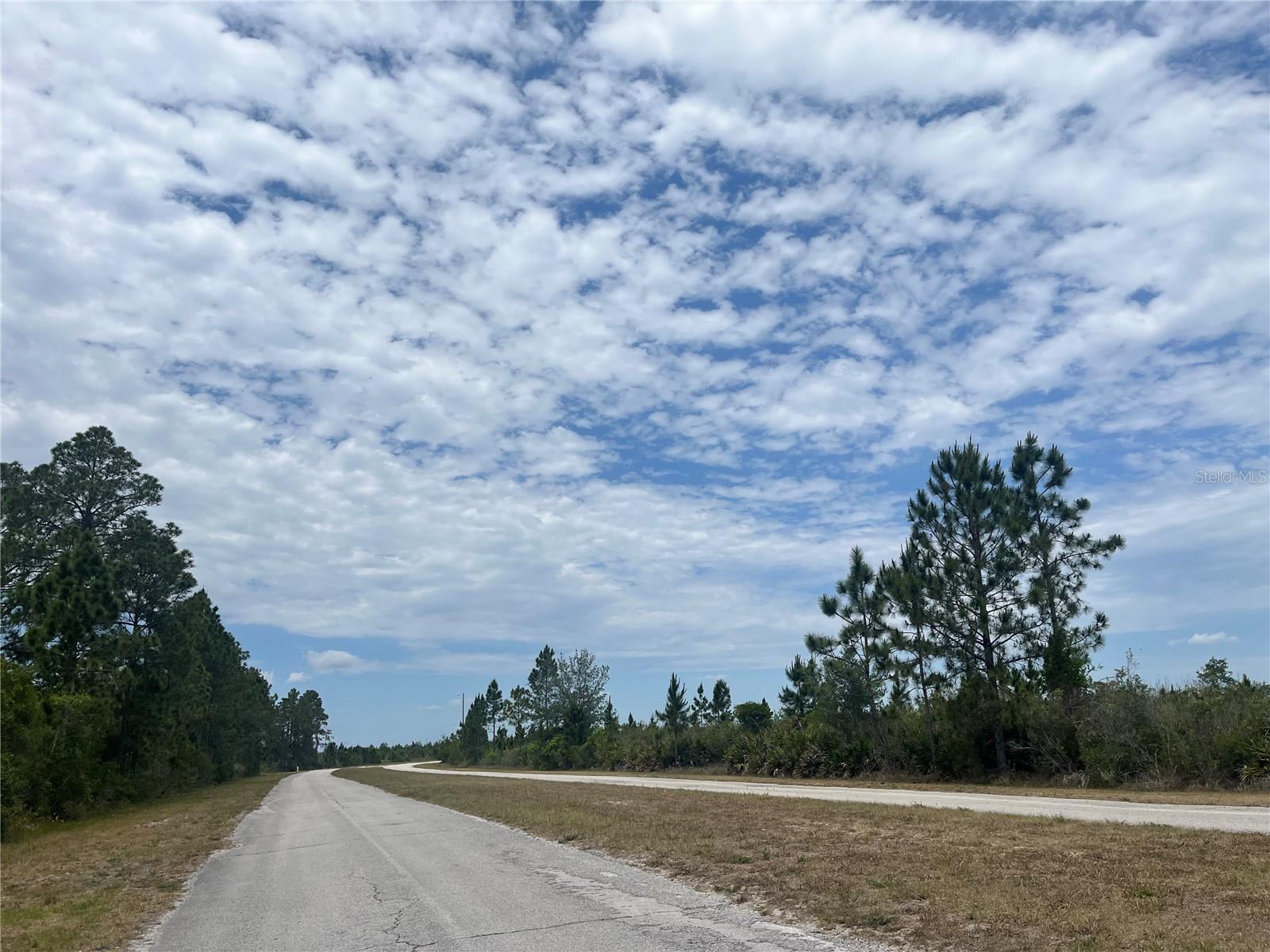 INDIAN LAKE ESTATES - Land
