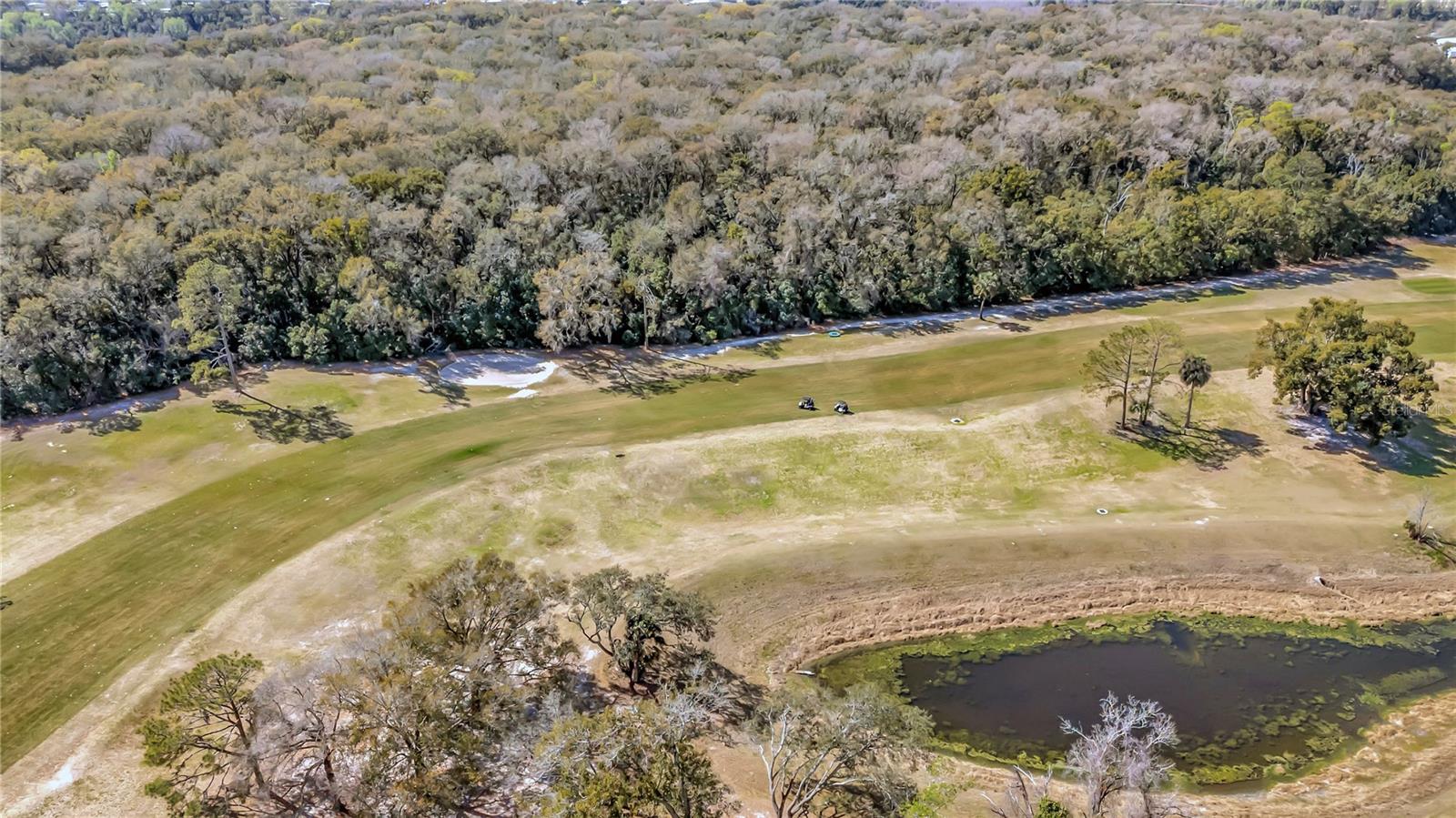 ZELLWOOD STATION COOP MH PARK - Residential