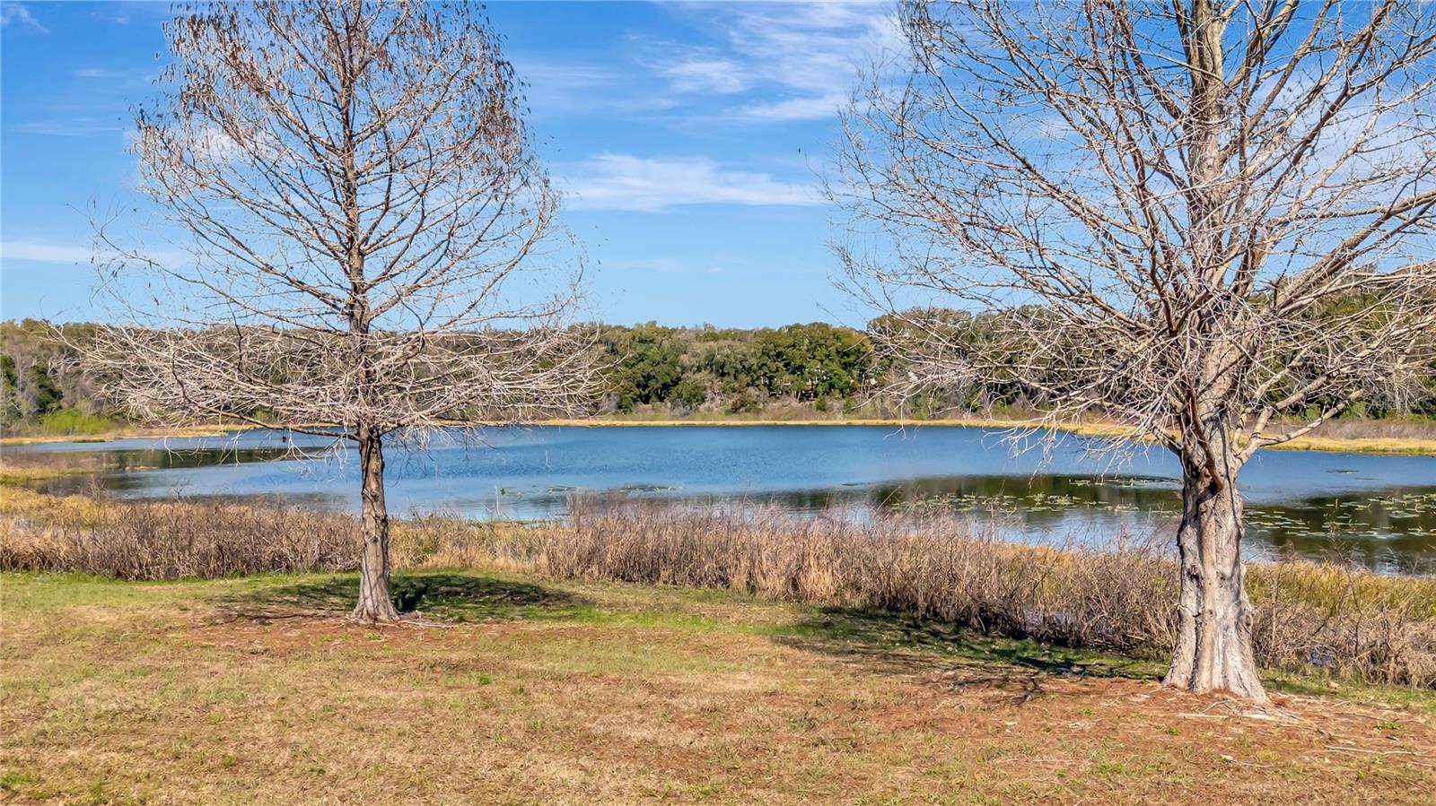 ZELLWOOD STATION COOP MH PARK - Residential