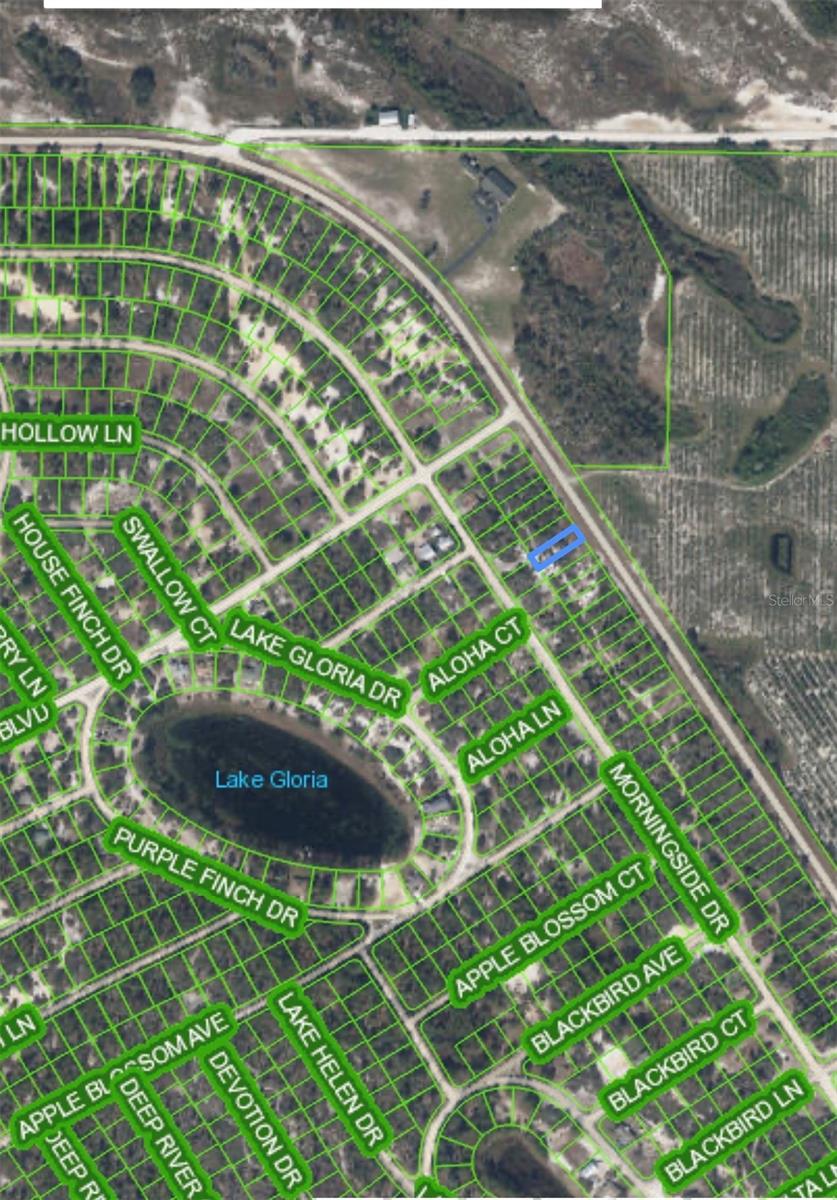 Photo of 835 Cr-29, Lake Placid, FL 33852 (MLS # O6441296)