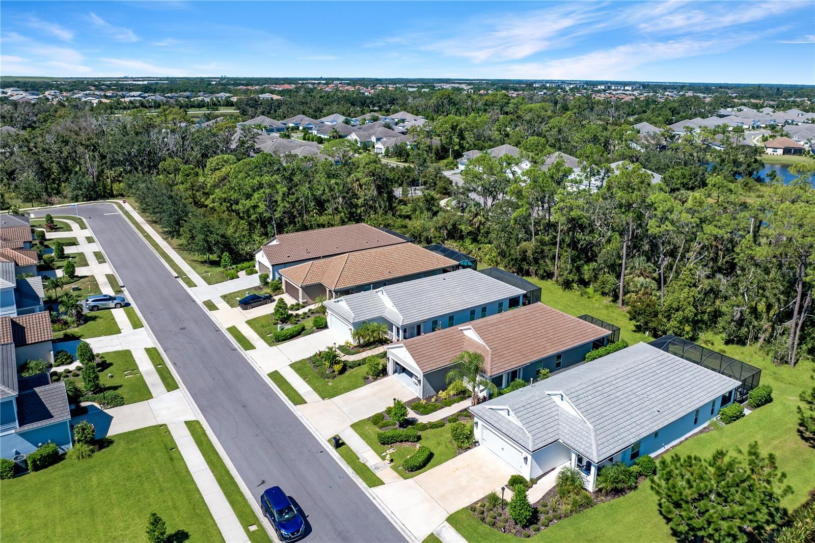 INDIGO PH VI SUBPHASE 6B & 6C REP - Residential