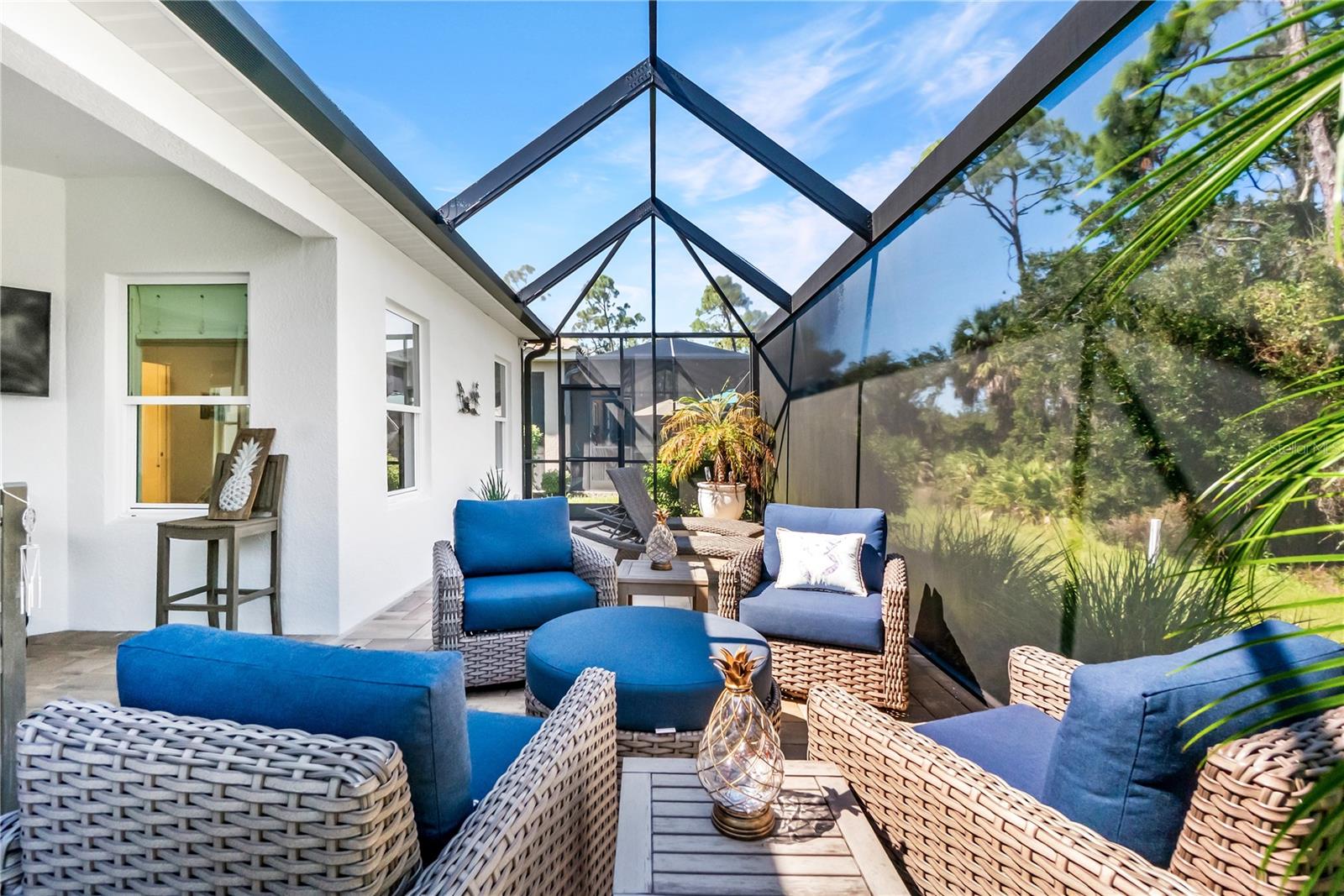 INDIGO PH VI SUBPHASE 6B & 6C REP - Residential