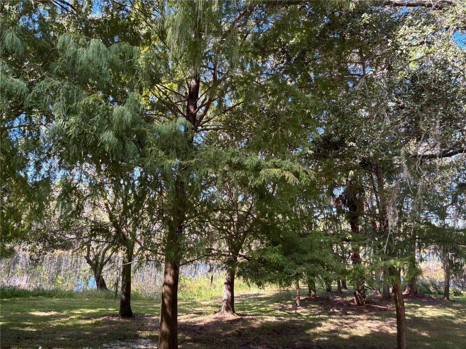 CHASE TWNHMS - Residential