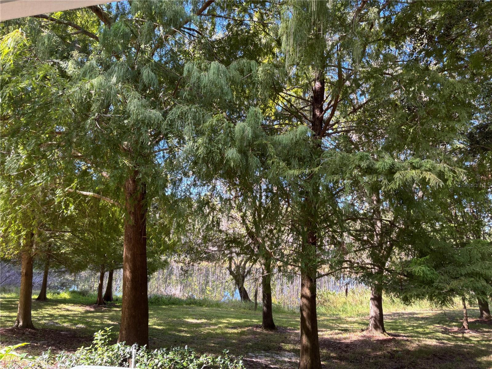 CHASE TWNHMS - Residential