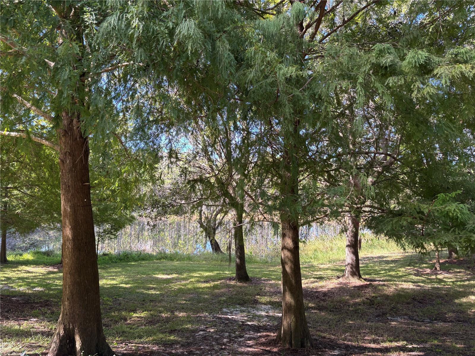 CHASE TWNHMS - Residential