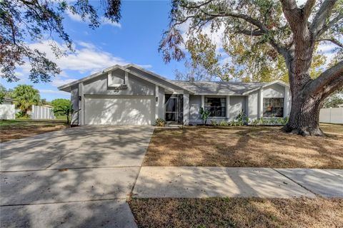 A home in RIVERVIEW