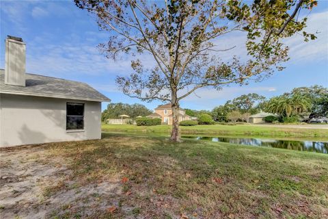 A home in RIVERVIEW