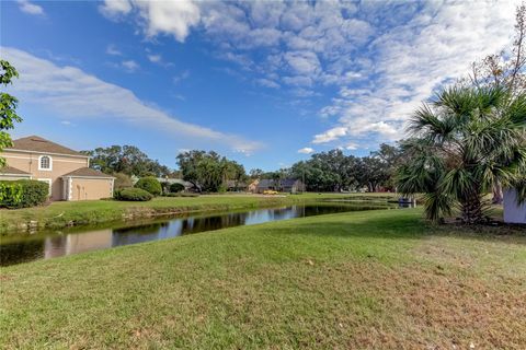 A home in RIVERVIEW