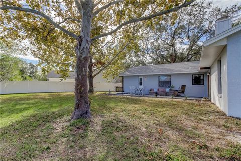 A home in RIVERVIEW