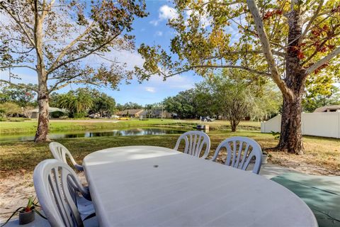 A home in RIVERVIEW