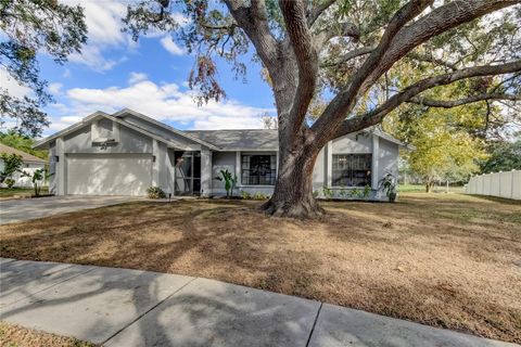 A home in RIVERVIEW