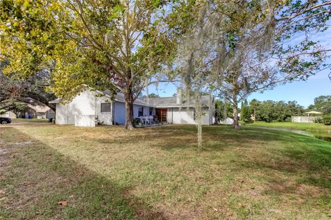 A home in RIVERVIEW