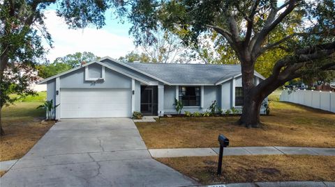 A home in RIVERVIEW