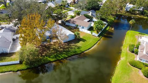 A home in RIVERVIEW