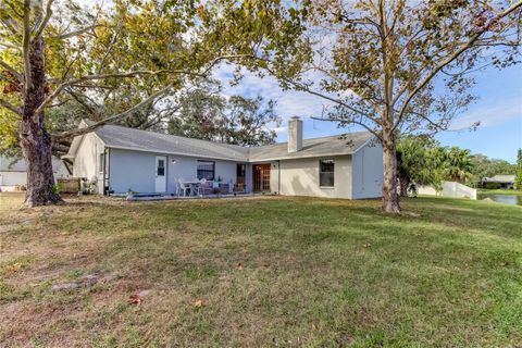 A home in RIVERVIEW