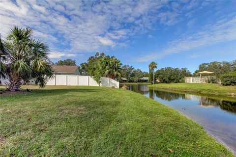 A home in RIVERVIEW