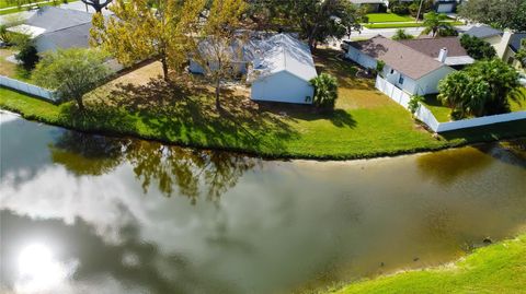 A home in RIVERVIEW