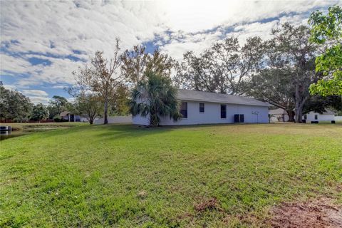 A home in RIVERVIEW