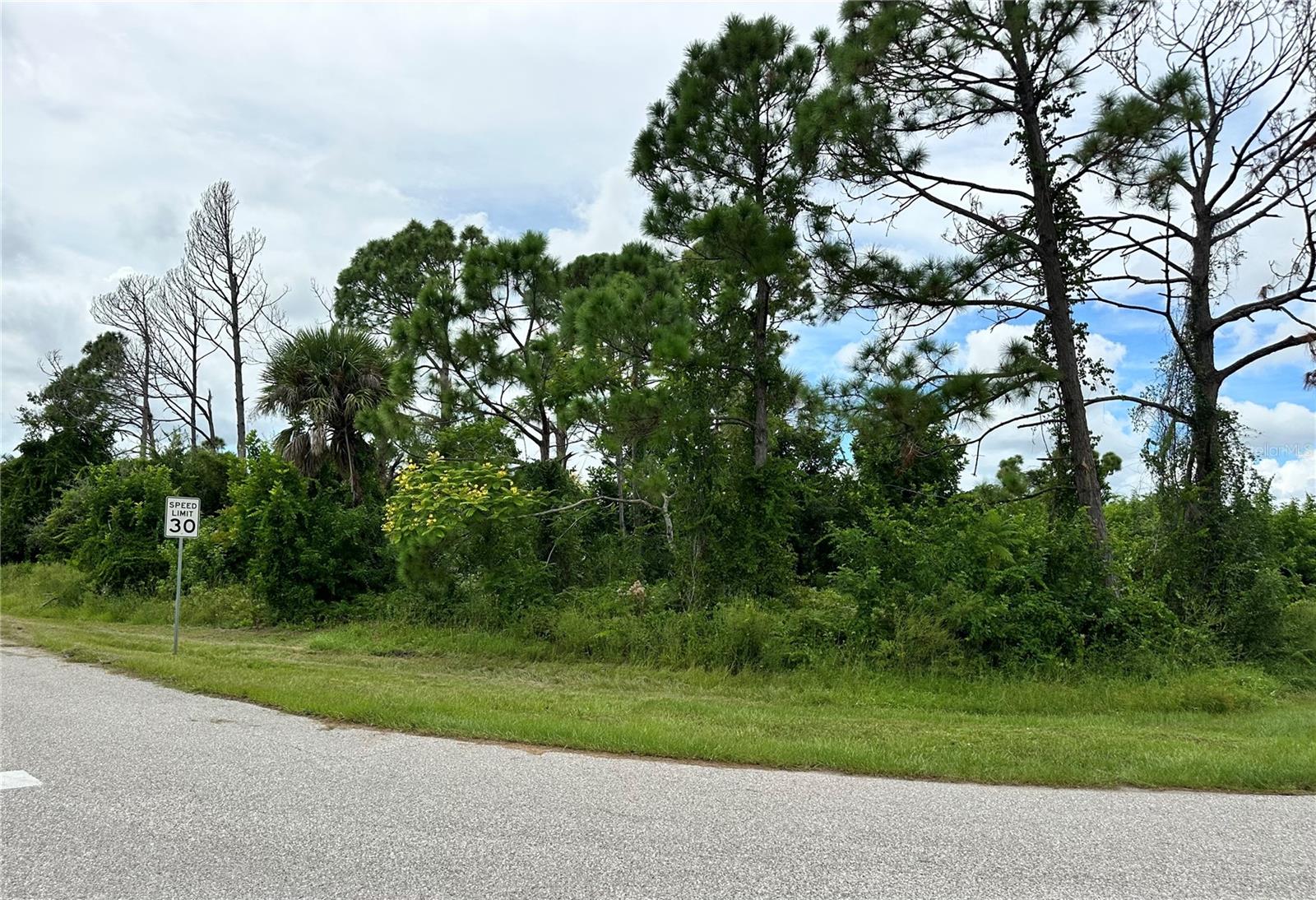 PORT CHARLOTTE SEC 065 - Land