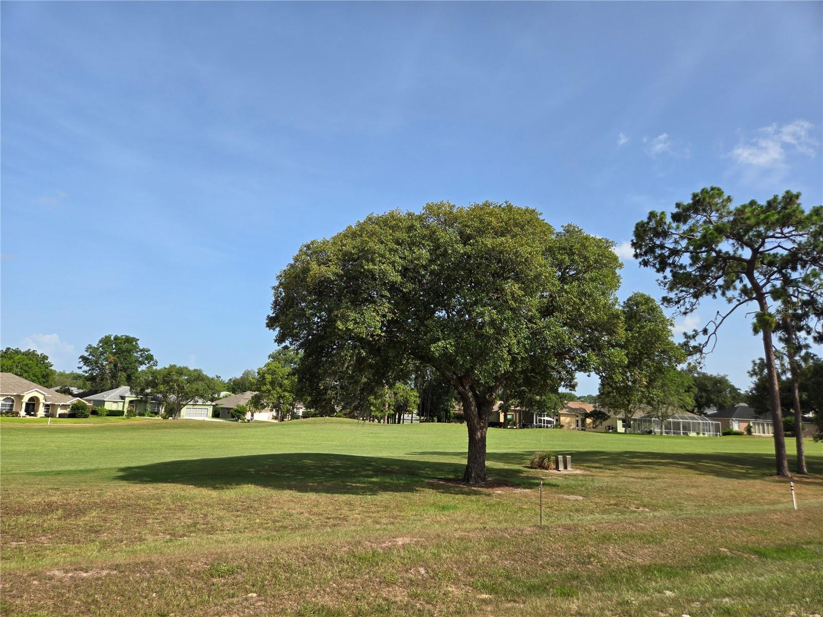 THE FAIRWAYS AT TWISTED OAKS - Residential