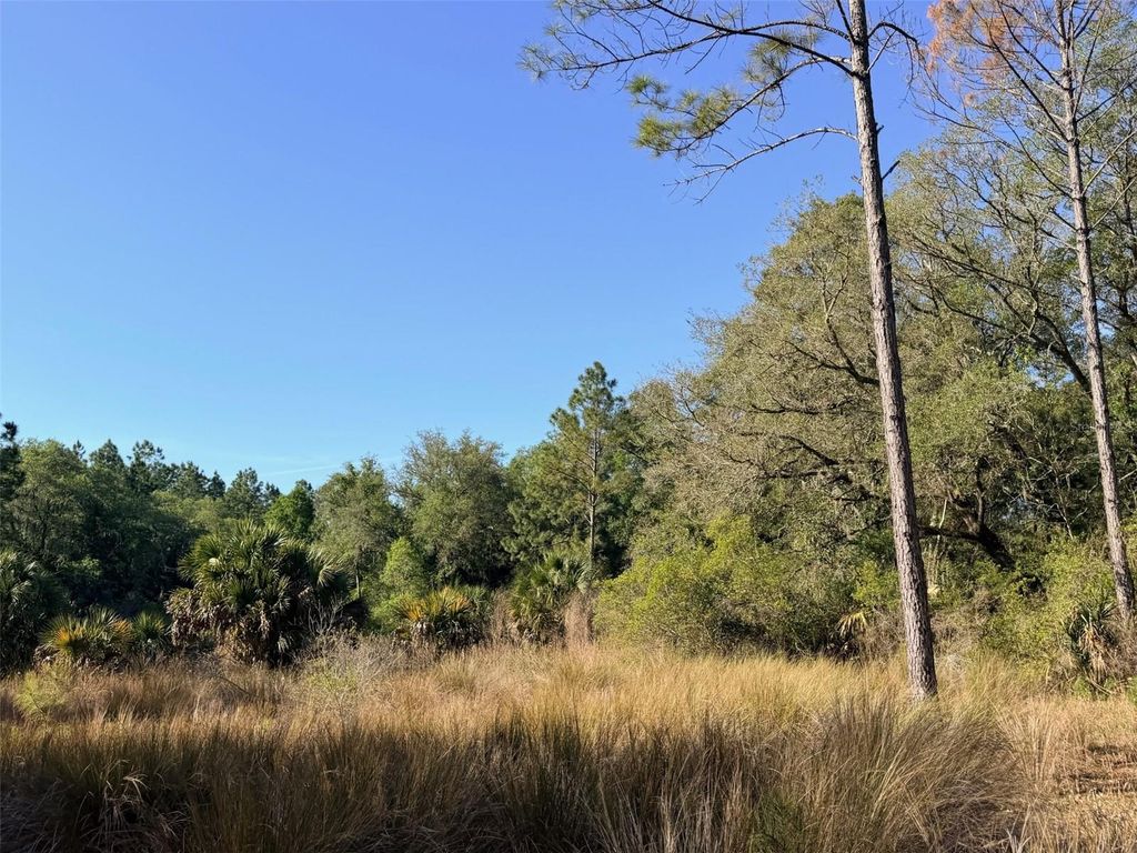 Photo of 6650 NW 110th Avenue, Chiefland, FL 32626 (MLS # GC539649)