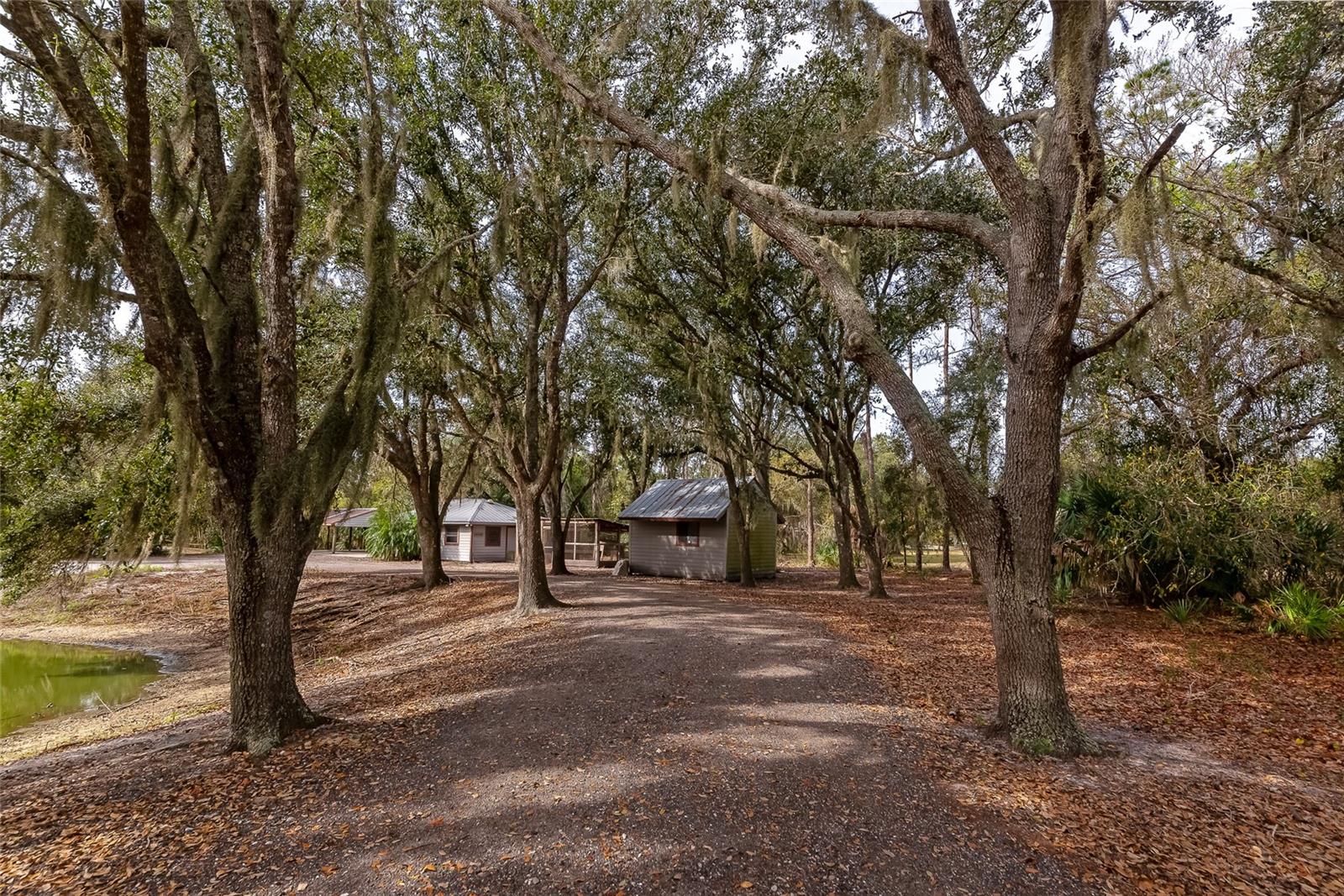 RANCHES AT MOSSY HAMMOCK - Residential