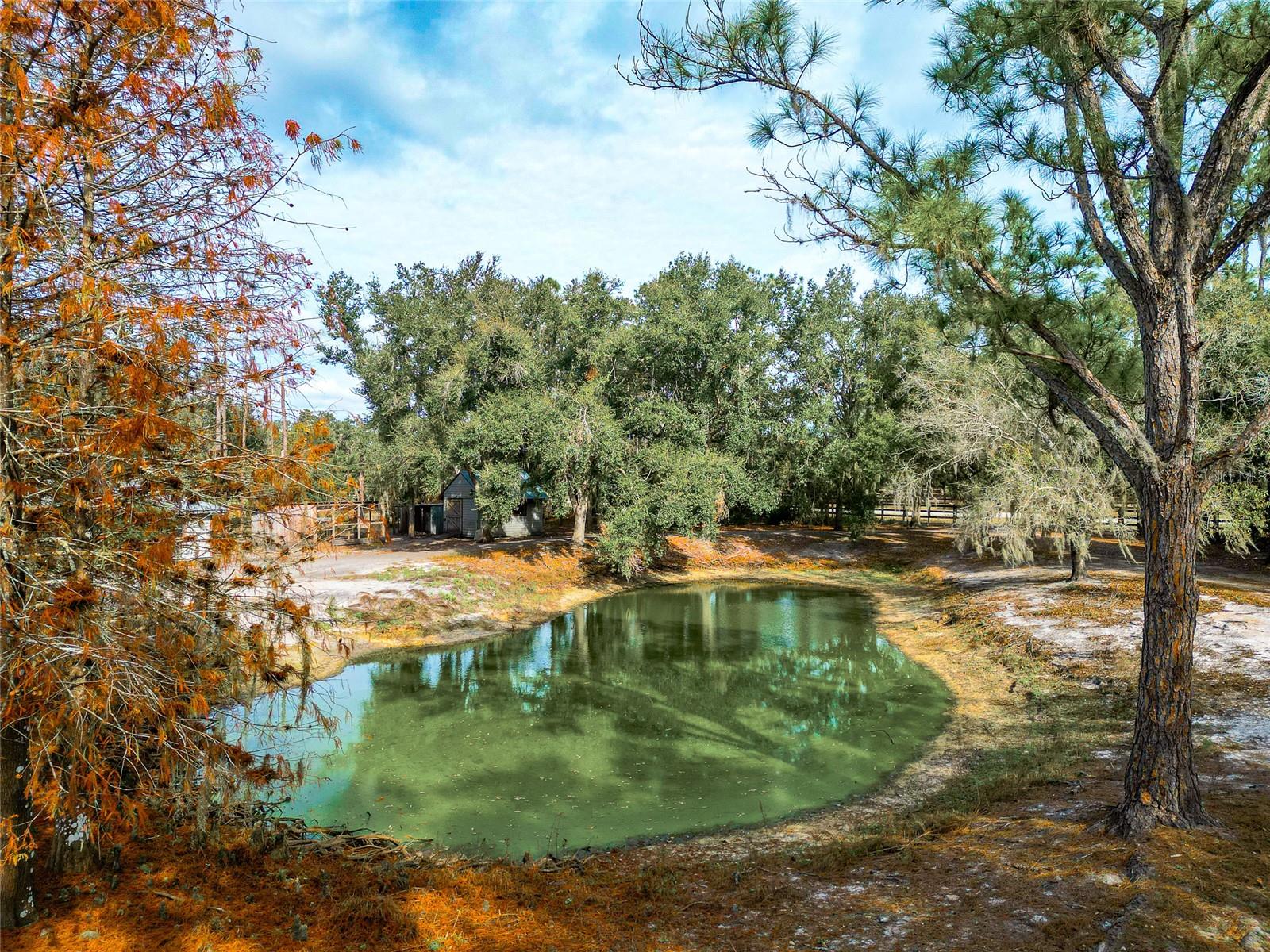 RANCHES AT MOSSY HAMMOCK - Residential
