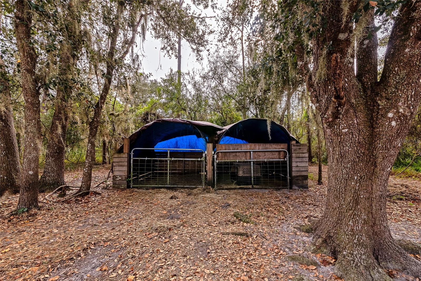 RANCHES AT MOSSY HAMMOCK - Residential