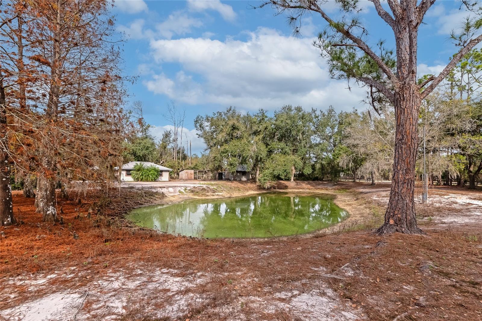 RANCHES AT MOSSY HAMMOCK - Residential