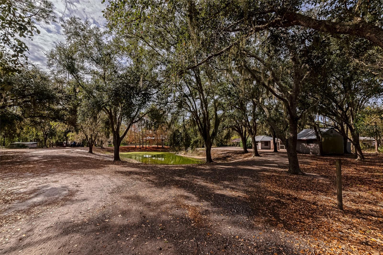 RANCHES AT MOSSY HAMMOCK - Residential