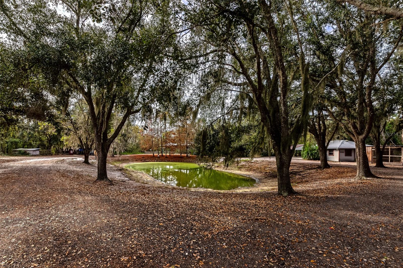 RANCHES AT MOSSY HAMMOCK - Residential