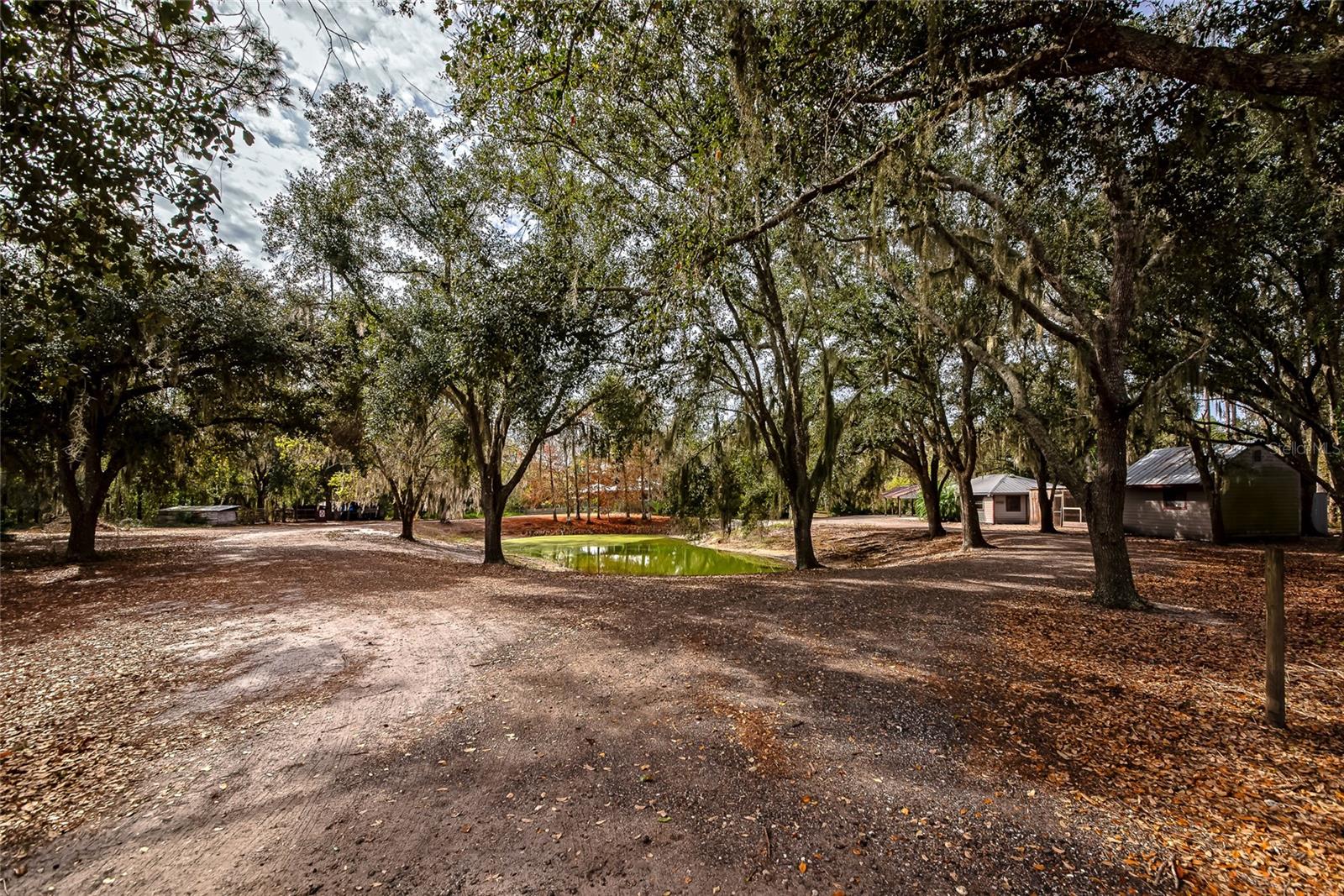 RANCHES AT MOSSY HAMMOCK - Residential