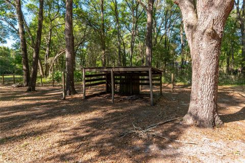 Tiny photo for 3005 SE 160th Lane Road, Summerfield, FL 34491 (MLS # OM721461)