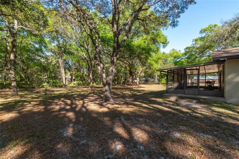 Tiny photo for 3005 SE 160th Lane Road, Summerfield, FL 34491 (MLS # OM721461)
