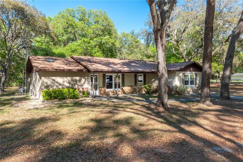 Tiny photo for 3005 SE 160th Lane Road, Summerfield, FL 34491 (MLS # OM721461)