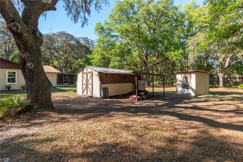 Tiny photo for 3005 SE 160th Lane Road, Summerfield, FL 34491 (MLS # OM721461)