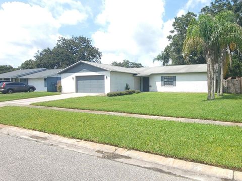 A home in TAMPA