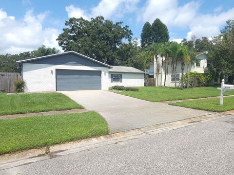 A home in TAMPA