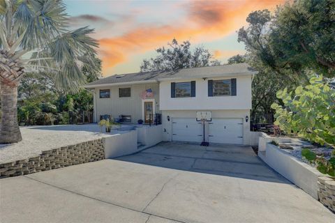 A home in PALM HARBOR