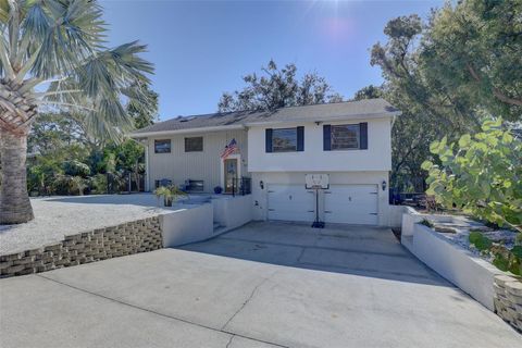 A home in PALM HARBOR